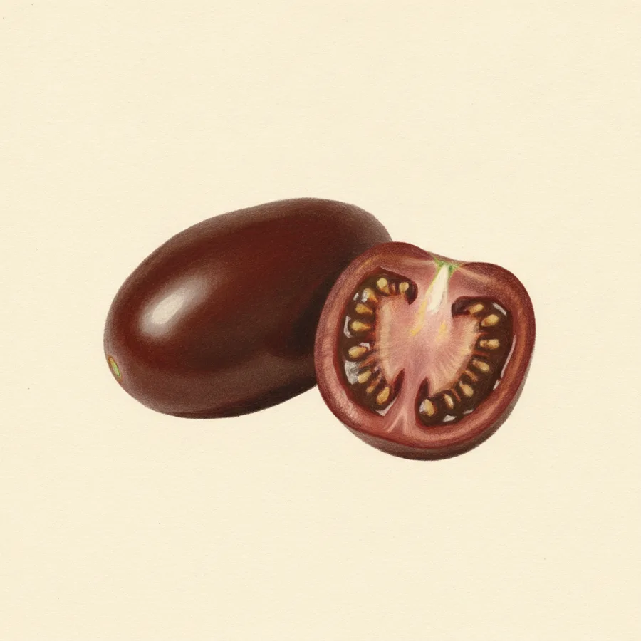 Black Plum