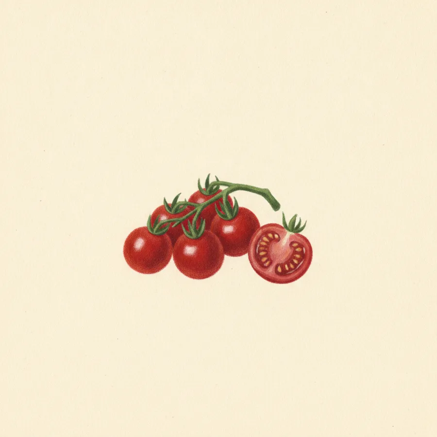 Matt's Wild Cherry