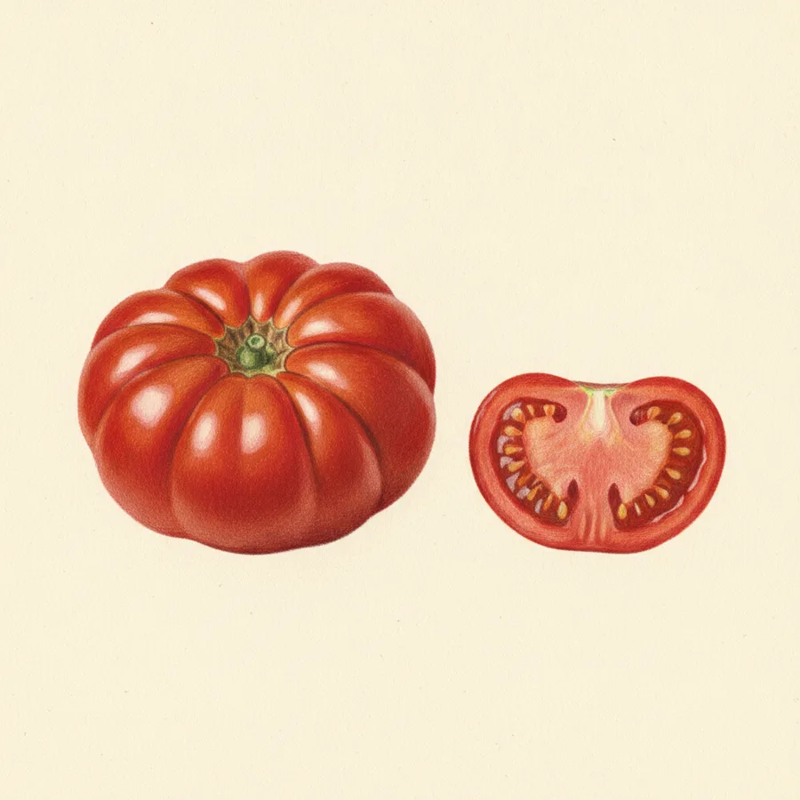 Reisetomate